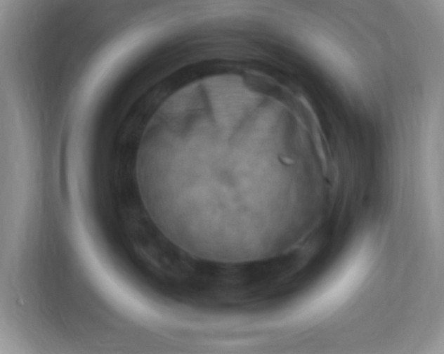 X0000113290191200909281019