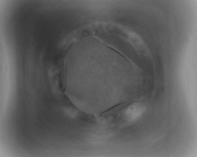 X0000113290192200909281019