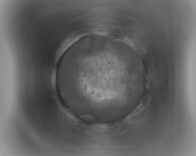 X0000113290194200909281019