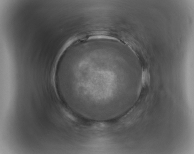 X0000113290195200909281019