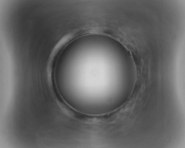 X0000113290197200909281019