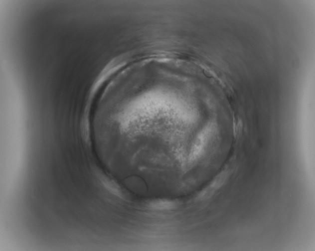 X0000113290198200909281019