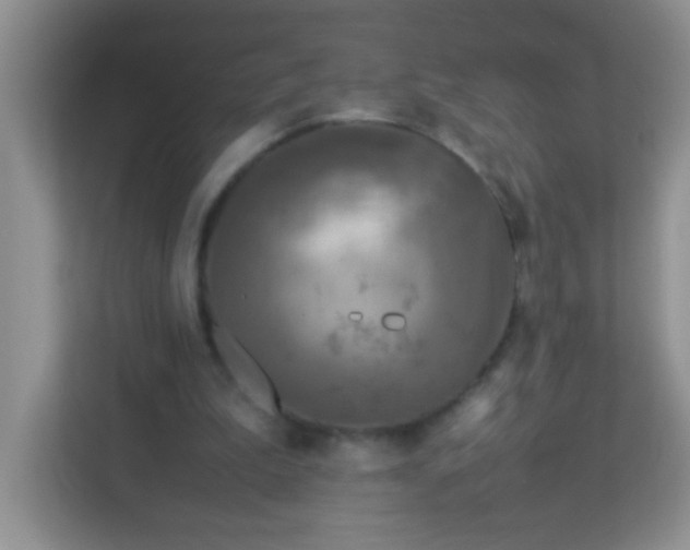 X0000113290199200909281019