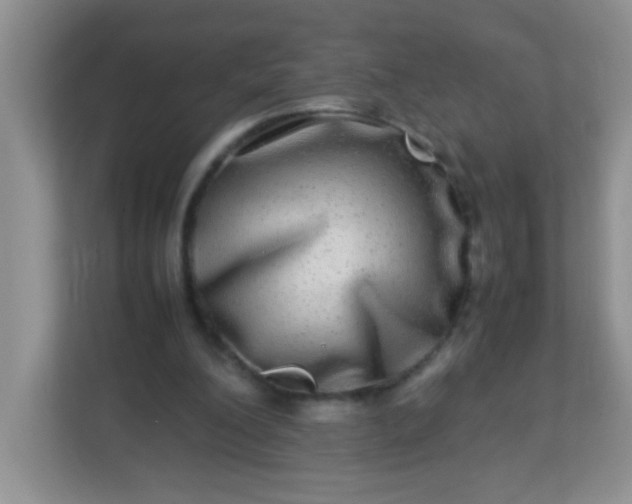 X0000113290200200909281019