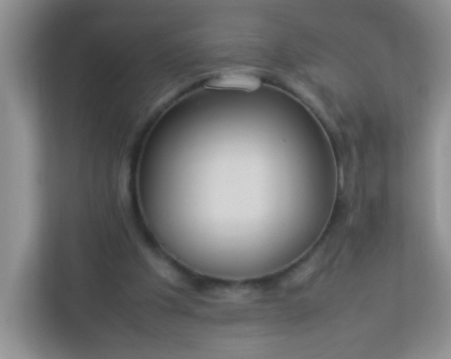 X0000113290201200909281019