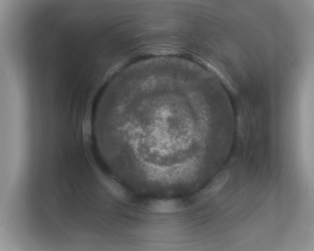 X0000113290202200909281019