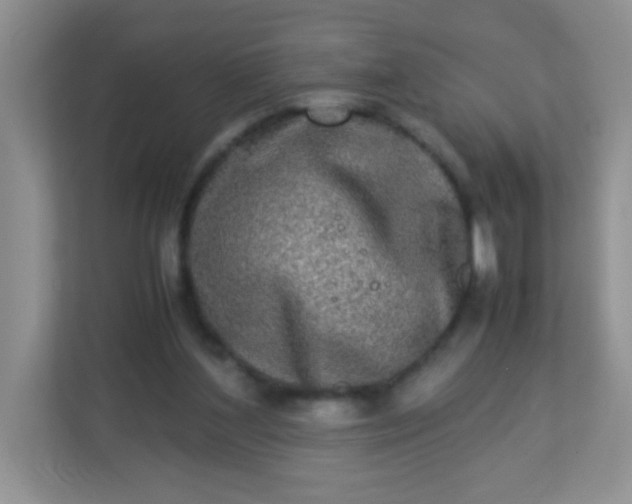 X0000113290204200909281019