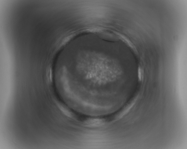 X0000113290205200909281019