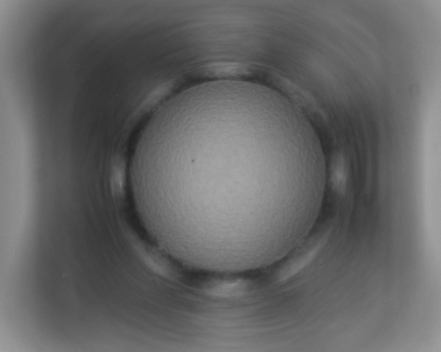 X0000113290206200909281019