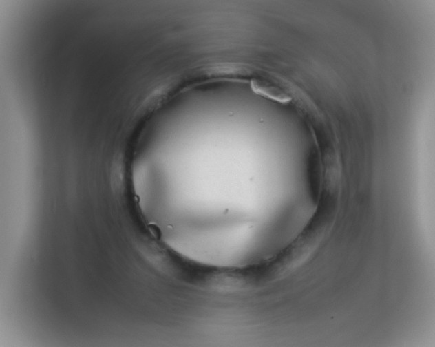 X0000113290207200909281019