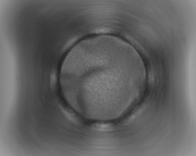 X0000113290208200909281019