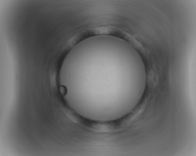 X0000113290209200909281019