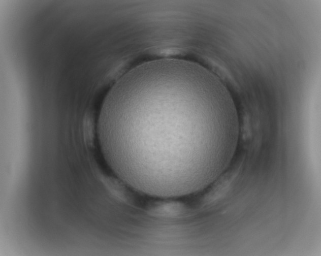 X0000113290210200909281019