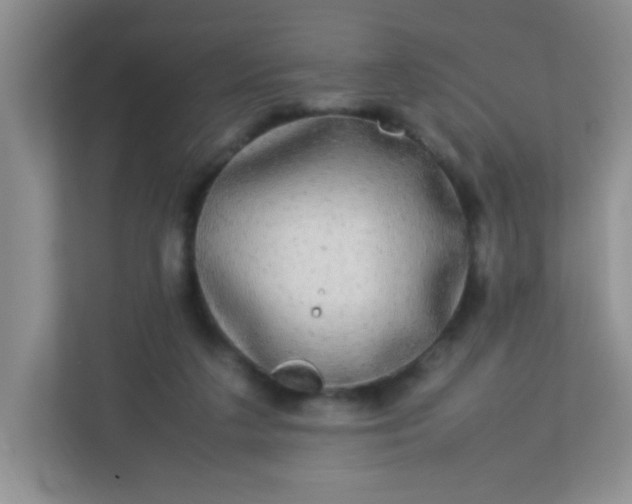 X0000113290211200909281019