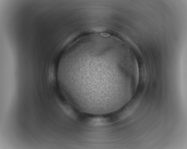 X0000113290212200909281019