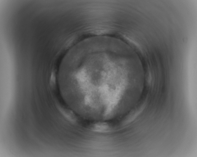 X0000113290214200909281019