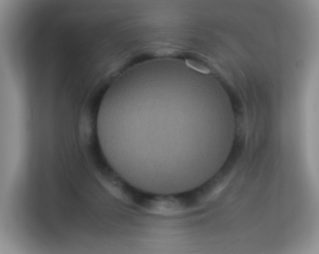 X0000113290215200909281019