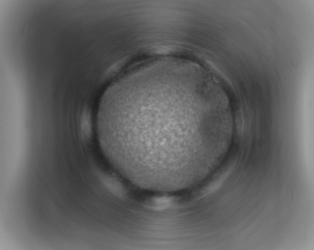 X0000113290216200909281019