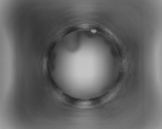 X0000113290217200909281019