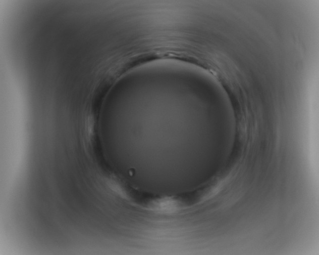 X0000113290219200909281019