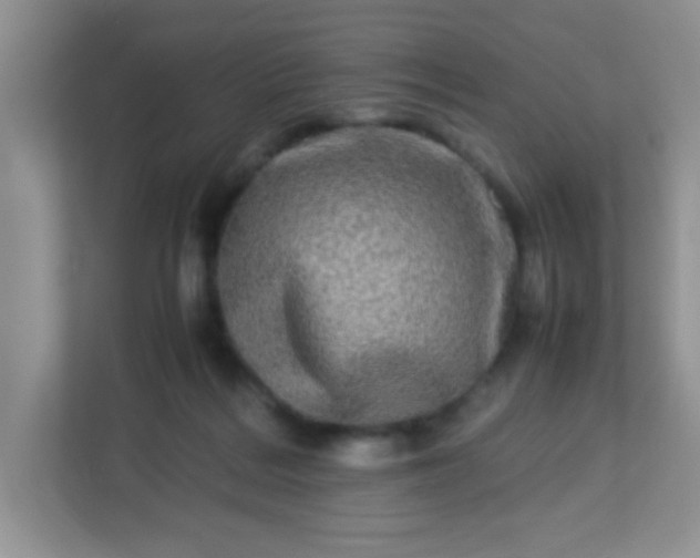 X0000113290220200909281018