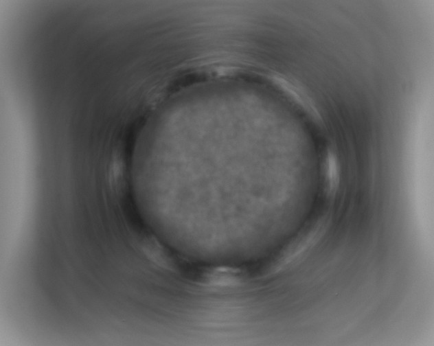 X0000113290222200909281018