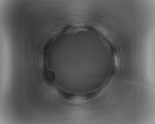 X0000113290223200909281018