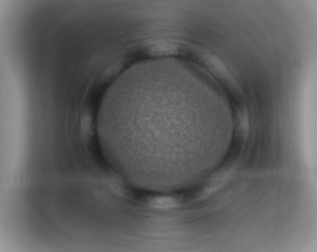 X0000113290224200909281018