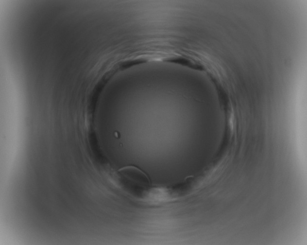 X0000113290227200909281018