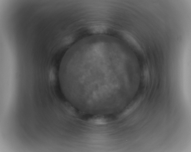 X0000113290228200909281018