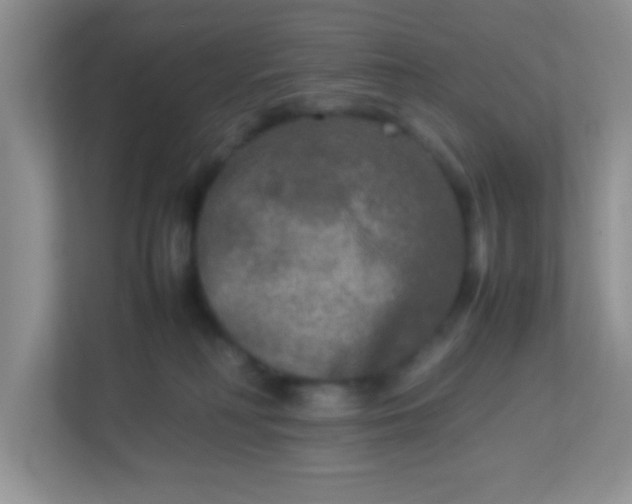 X0000113290230200909281018