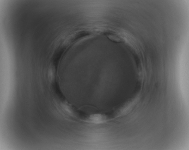 X0000113290231200909281018