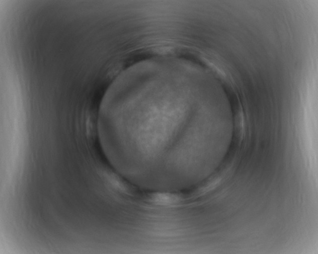 X0000113290234200909281018