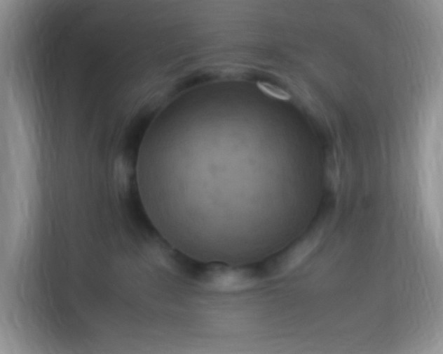 X0000113290235200909281018