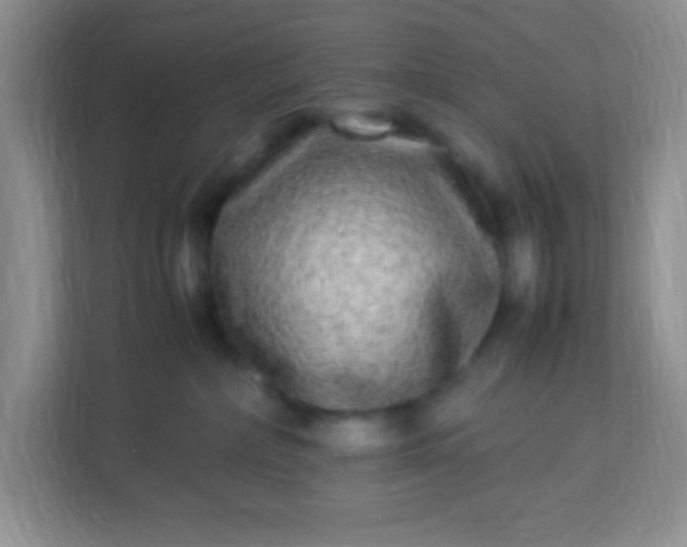 X0000113290236200909281018