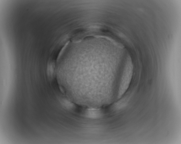 X0000113290240200909281018