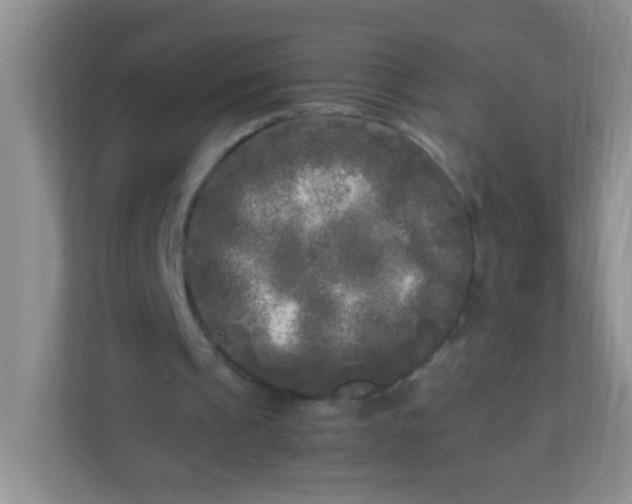 X0000113290241200909281018