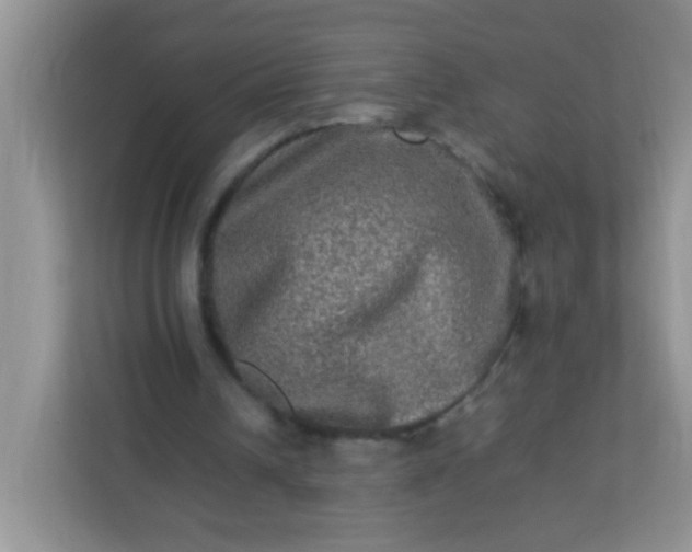 X0000113290242200909281018