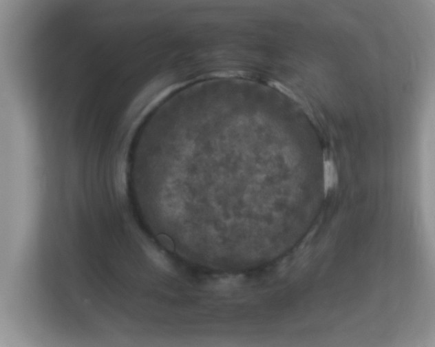 X0000113290243200909281018