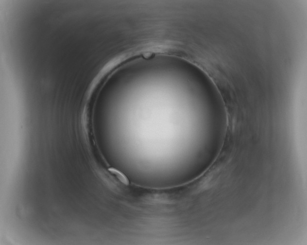 X0000113290244200909281018