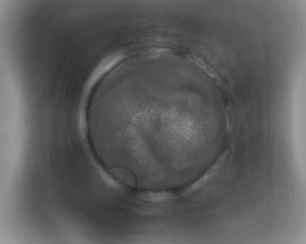 X0000113290245200909281018