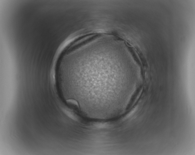 X0000113290246200909281018