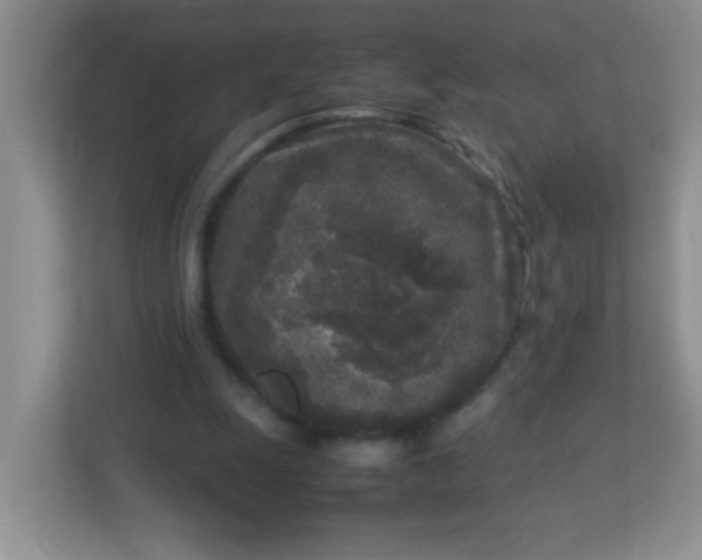 X0000113290247200909281018