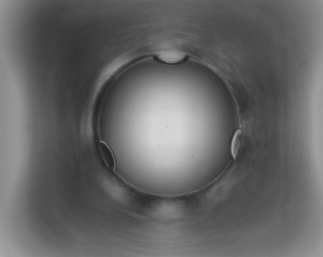 X0000113290248200909281018