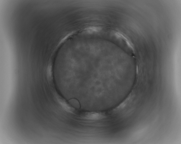 X0000113290249200909281018