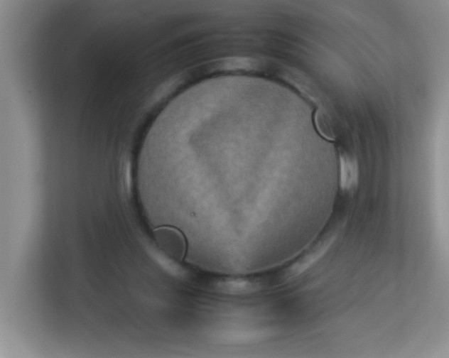 X0000113290253200909281018