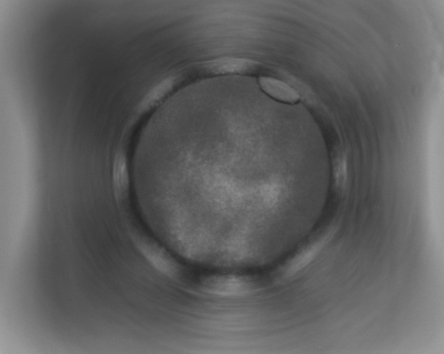 X0000113290254200909281018