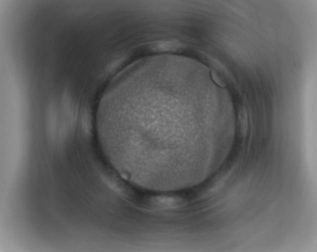 X0000113290255200909281018