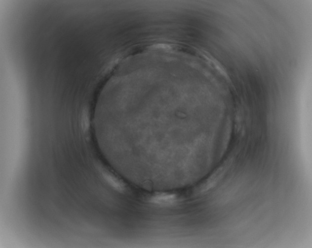 X0000113290257200909281018