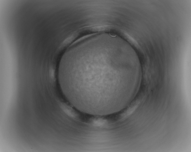 X0000113290258200909281018